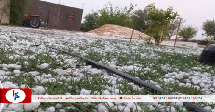 القصرين : أمطار غزيرة مرفوقة بحجر البرد تخلف بعض الأضرار الفلاحية