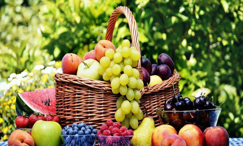 صادرات الغلال
