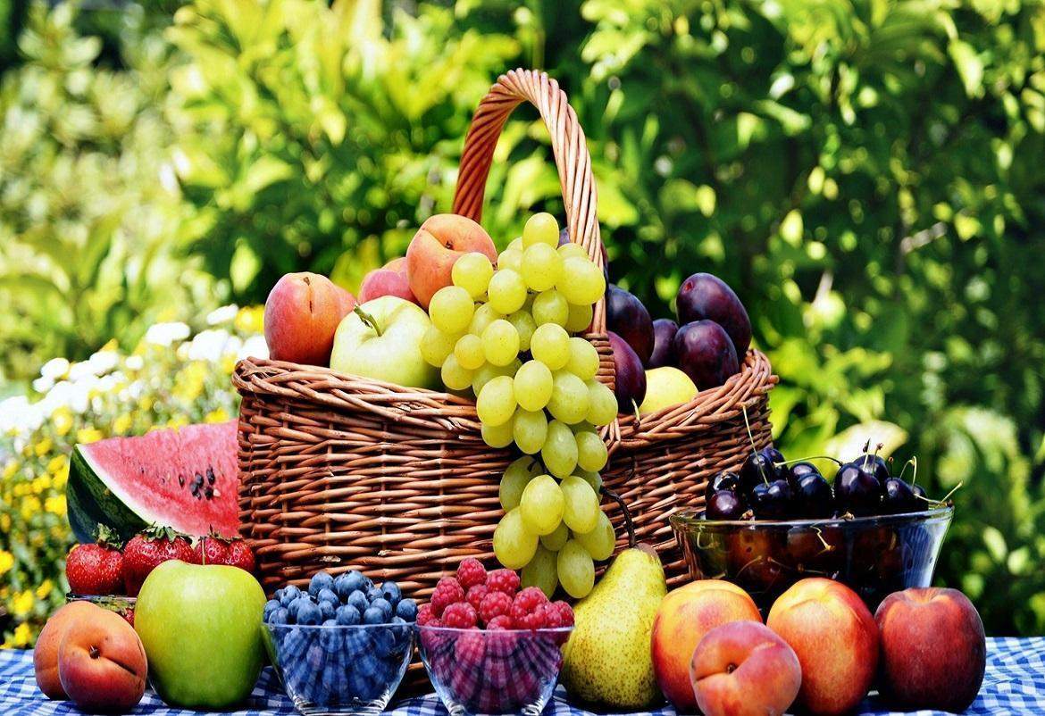صادرات الغلال