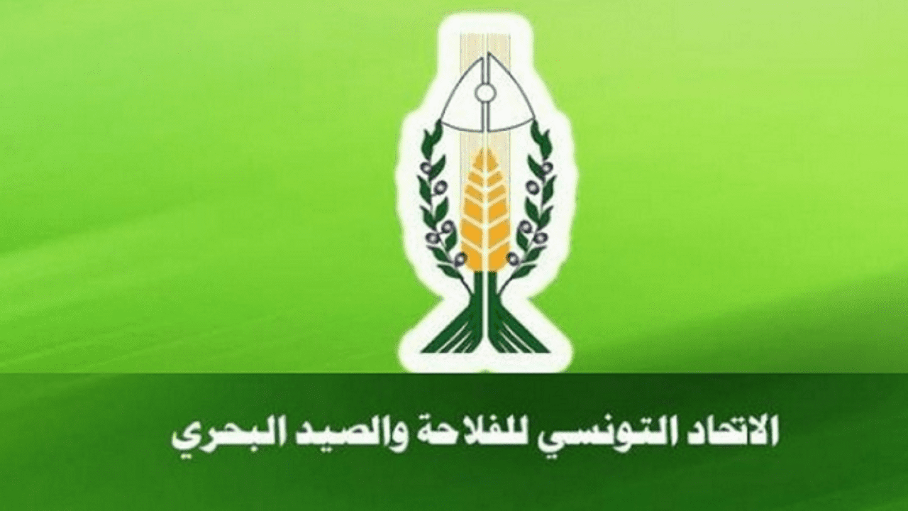 الاتحاد التونسي للفلاحة : تأخر التساقطات جعل من الفلاح مترددا في الانطلاق في موسم البذر