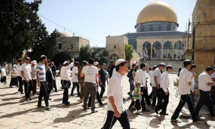 عشرات المستوطنين يقتحمون الاقصى بدعم من قوات الاح تلال