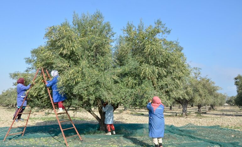طقس اليوم الثلاثاء 31 أكتوبر 2023