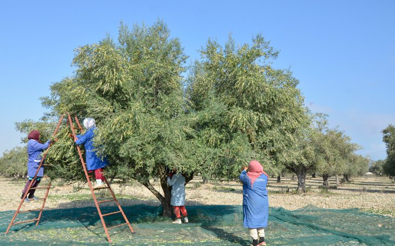 طقس اليوم الثلاثاء 31 أكتوبر 2023