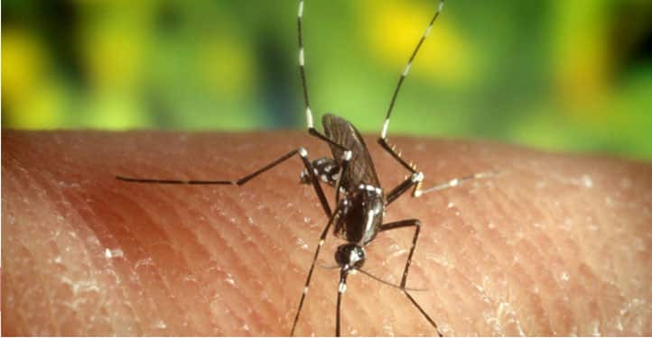 توزر : حالة وفاة و 5 اصابات بحمى غرب النيل