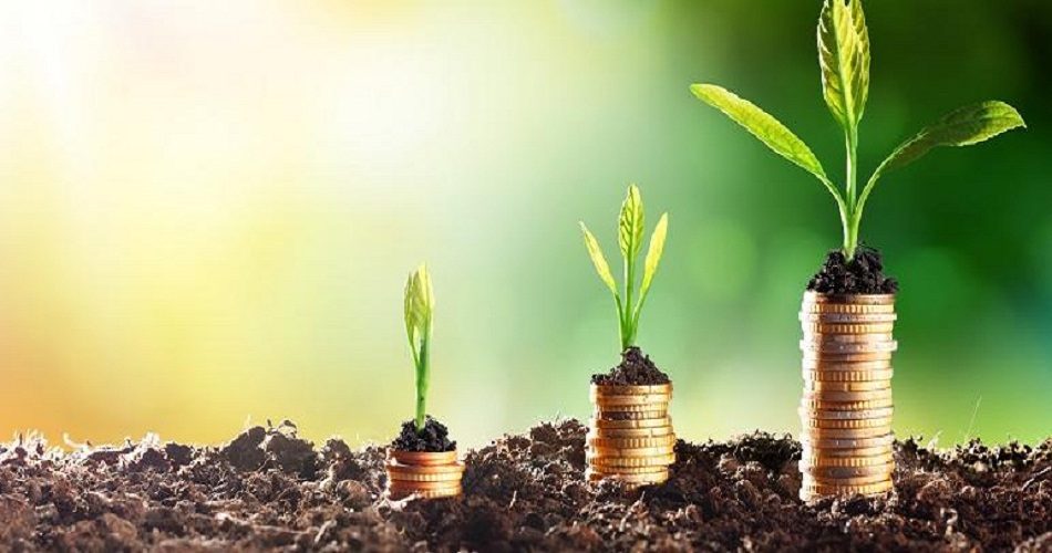 اللجنة الوطنية لإسناد الامتيازات المالية تصادق على عمليات استثمارات فلاحية من بينها مشاريع بسيدي بوزيد
