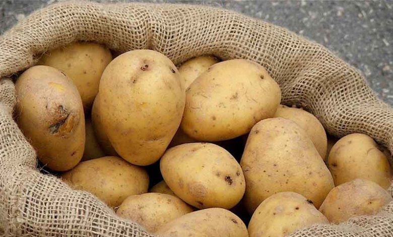 بنزرت : حجز 15 طنا من البطاطا المعدة للاستهلاك