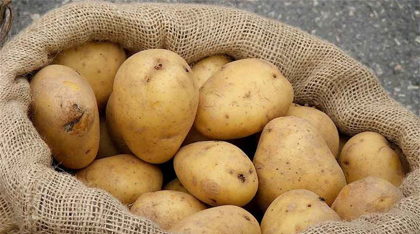 بنزرت : حجز 15 طنا من البطاطا المعدة للاستهلاك