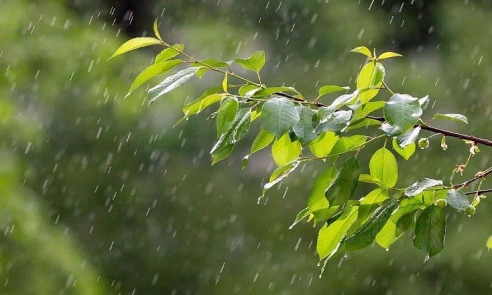طقس مغيم الى كثيف السحب