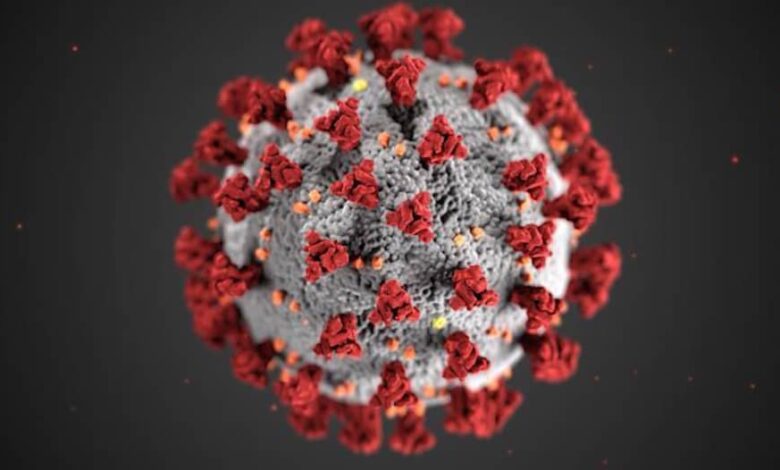 اللجنة العلمية لمجابهة انتشار فيروس كورونا : منطقتناغير معنية حاليا بمتحور كورونا الجديد