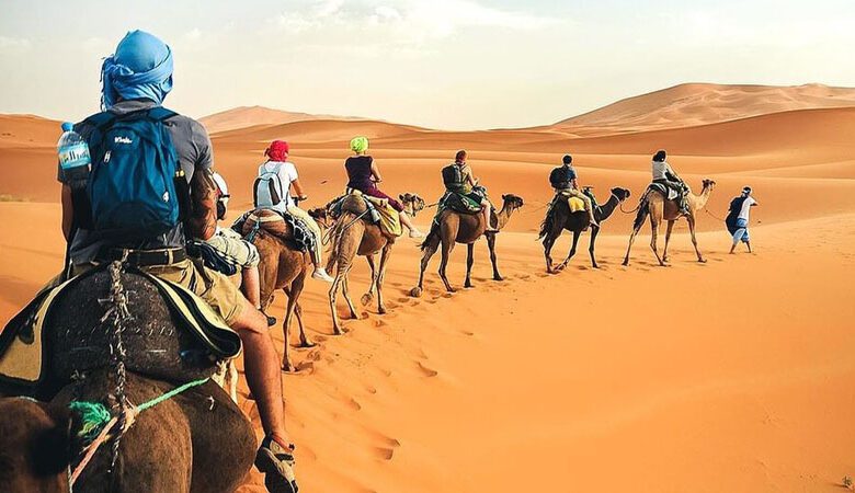 توزر : تعزيز البرامج الترويجية للسياحة الصحراوية ودعم التظاهرات الثقافية