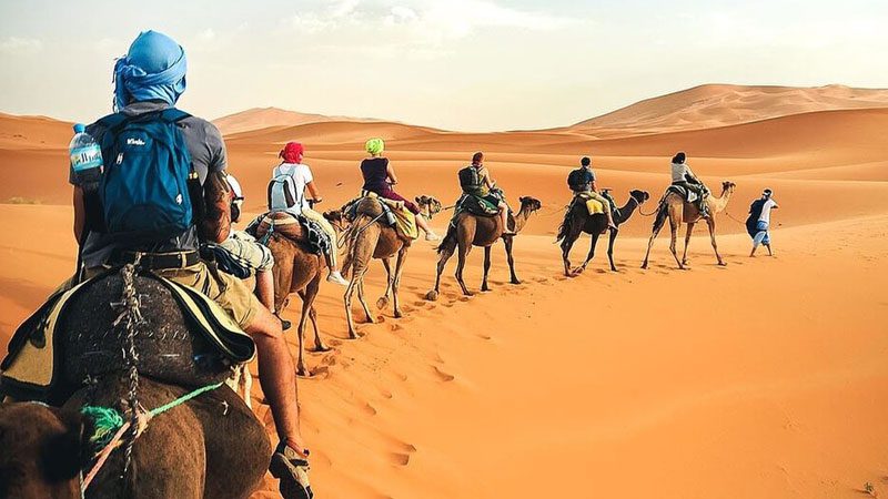 توزر : تعزيز البرامج الترويجية للسياحة الصحراوية ودعم التظاهرات الثقافية