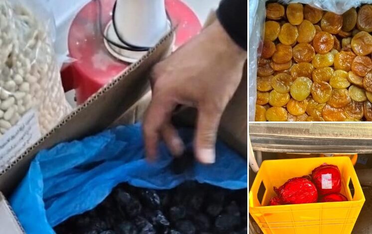 حجزمواد غذائية مهربة