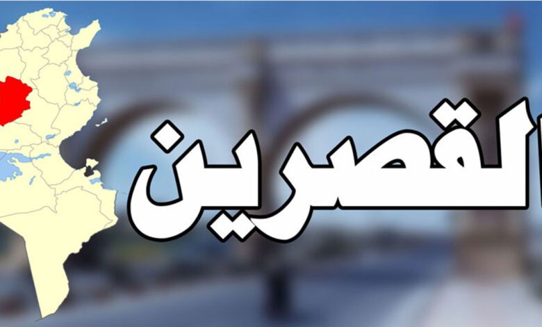 القصرين : محاكمة المشتبه به في قضية تعذيب قط تأخذ منحىً قانونيًا