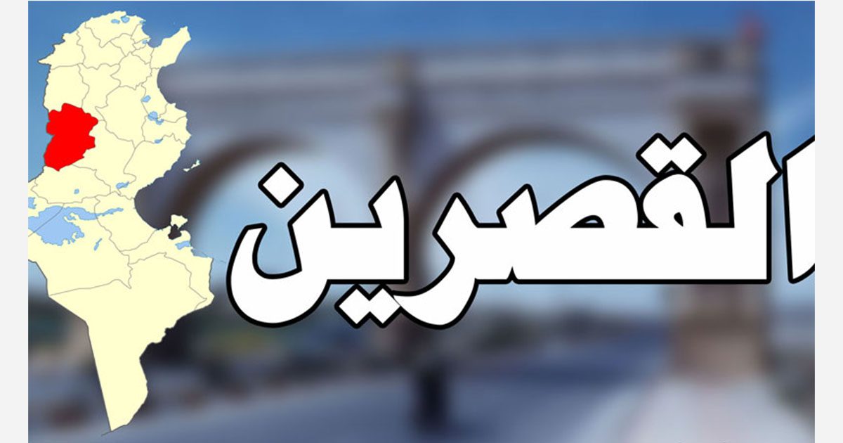 القصرين : محاكمة المشتبه به في قضية تعذيب قط تأخذ منحىً قانونيًا