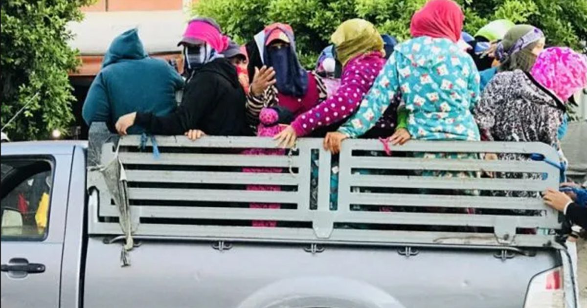 جبنيانة : وقفة تضامنية لعاملات الفلاحة بعد الحادث المروّع في جلمة يوم أمس