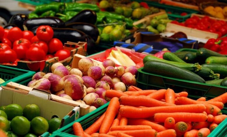 وزيرة : تزويد الاسواق بالمواد الاولية شهدا تحسنا