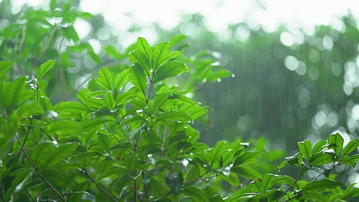 طقس نهاية الأسبوع ...أمطار بهذه الجهات