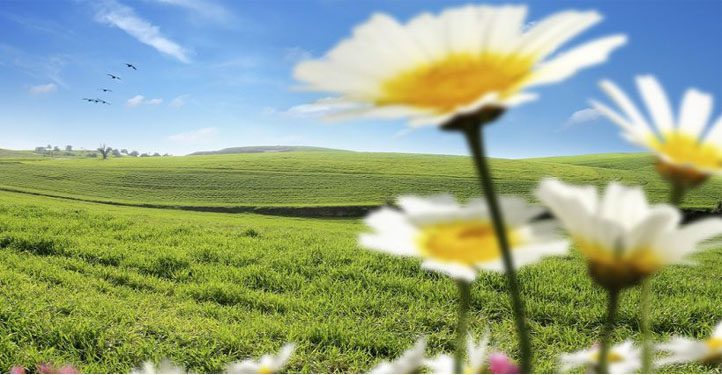 طقس اليوم الأربعاء 13 مارس 2024