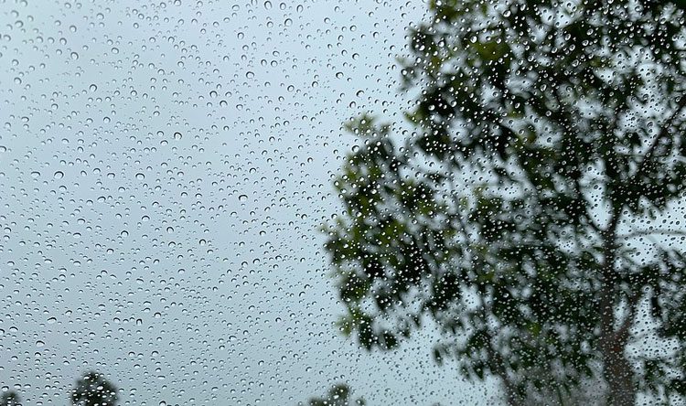 السبت : أمطار متفرقة بهذه المناطق