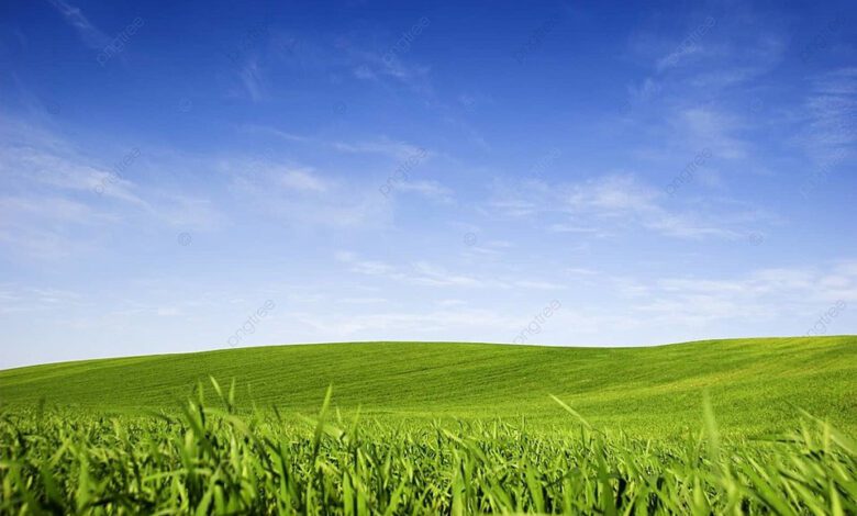 طقس الخميس 18 أفريل 2024
