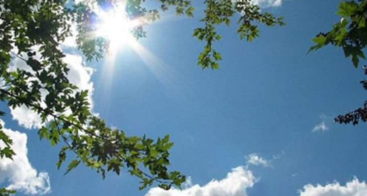 طقس الخميس 29 أوت 2024